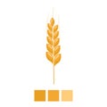 Wheat spike yellow isolated on white background. Organic Ear grain with flat and solid color design. Vector Illustration Royalty Free Stock Photo