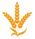 Wheat spikelet abstract cereal grain outline icon