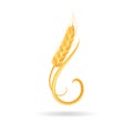 Wheat spikelet. Agricultural wheat, symbol, isolated on white background. Royalty Free Stock Photo