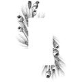 Wheat spikelet frame. Hand drawn vector illustration.