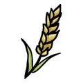 Wheat Spikelet - Hand Drawn Doodle Icon Royalty Free Stock Photo