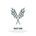 Wheat spikelets line icon. Wheat farm symbol.