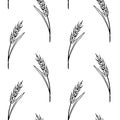 Wheat spikelets, vector seamless pattern. Black outline drawn in sketch style isolated on white background. Design of fabric, Royalty Free Stock Photo