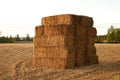 Wheat stack in the middle of a field