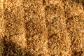 Wheat Straw background, texture, natural sunlight Royalty Free Stock Photo