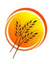 Wheat straw illustrtion