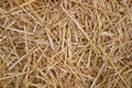 Wheat straw pile background