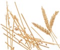 Wheat straw on white Royalty Free Stock Photo