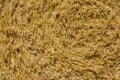 Wheat straws background Royalty Free Stock Photo
