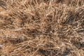 Wheat stubble field as seen from above