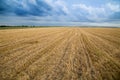 Wheat stubble field over stormy cloudscape.