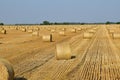 Wheat straw bale on the field.