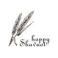 Wheat and Ten Commandments. Concept of Judaic holiday Shavuot. Happy Shavuot in Jerusalem. Land of Israel wheat harvest