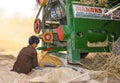 Wheat threshing Royalty Free Stock Photo