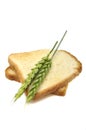 Wheat Toasts with Ears