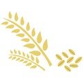 Wheat vector grain icon isolated abstract, Illustration, vector, Agriculture, Life, growth.