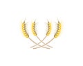 Wheat vector icon