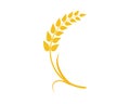 wheat vector icon Royalty Free Stock Photo