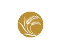 Wheat vector icon illustration Royalty Free Stock Photo