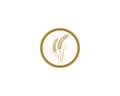 Wheat vector icon illustration design Royalty Free Stock Photo