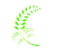 Wheat vector icon Royalty Free Stock Photo