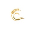 Wheat vector icon Royalty Free Stock Photo