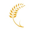 Wheat vector icon in white background Royalty Free Stock Photo