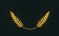 Wheat vector isolated logo