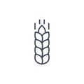 Wheat vector line icon cereal. Wheat stroke malt icon