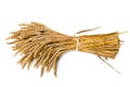 Wheat on the white Royalty Free Stock Photo