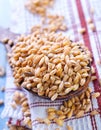 Wheat Royalty Free Stock Photo