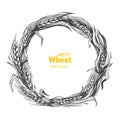 Wheat wreath hand drawn vector illustration Royalty Free Stock Photo