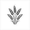 Wheat wreaths and grain spikes set icons