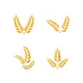 Wheat yellow logo icon template