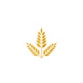 Wheat yellow logo icon template