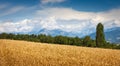 Wheatfield and Grand Morgon mountain range in Summer in Hautes Alpes France