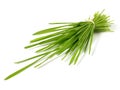 Wheatgrass Bundle - Healthy Nutrition