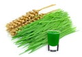 Wheatgrass juice