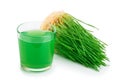 Wheatgrass juice with sprouted wheat isolated on white background Royalty Free Stock Photo