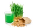 Wheatgrass juice with sprouted wheat isolated on white background Royalty Free Stock Photo