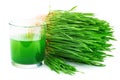 Wheatgrass juice with sprouted wheat Royalty Free Stock Photo