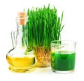 Wheatgrass juice with sprouted wheat and wheat ger Royalty Free Stock Photo