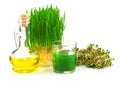 Wheatgrass juice with sprouted wheat and wheat germ oil Royalty Free Stock Photo