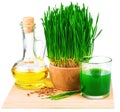 Wheatgrass juice with sprouted wheat and wheat germ oil on the m Royalty Free Stock Photo