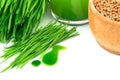 Wheatgrass juice, sprouted wheat and wheat Royalty Free Stock Photo