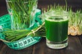 Wheatgrass shot. Juice from wheat grass. Trend of health.