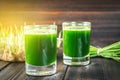 Wheatgrass shot. Juice from wheat grass. Trend of health.