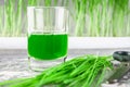 Wheatgrass shot. Juice from wheat grass. Trend of health.