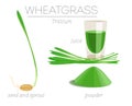 Wheatgrass