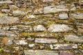 Wheathered slate stone wall with moss Royalty Free Stock Photo